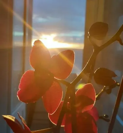 La Casita De La Charca アパート